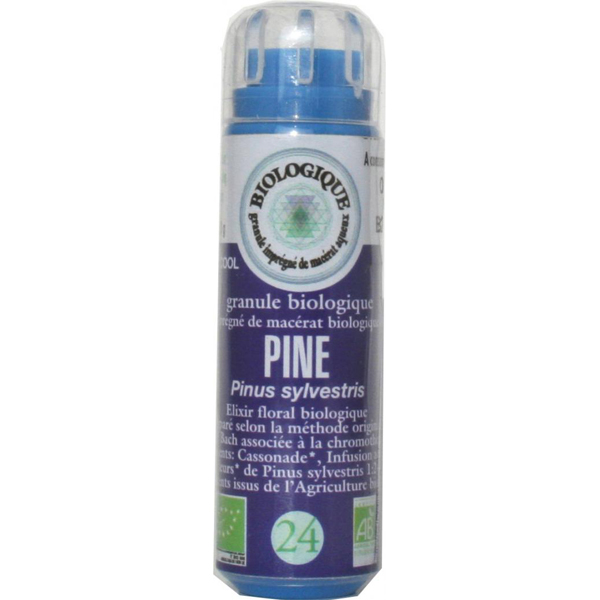 Pin sylvestre (Pine) 24