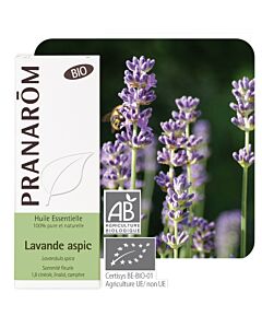 Lavande aspic Bio (Lavandula spica ou latifolia) - Pranarôm - huile essentielle