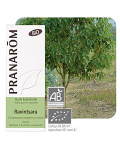 Ravintsara Bio (Ravintsara cinnamomum camphora) - Pranarôm - huile essentielle