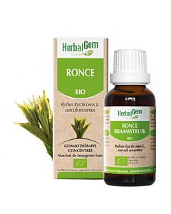 Ronce Bio - gemmothérapie - Herbalgem